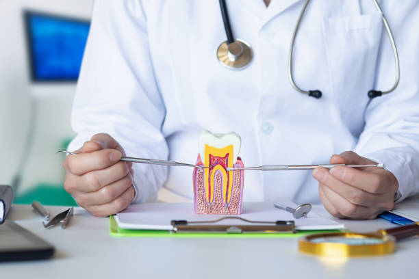 Best Emergency Dental Care for Broken or Chipped Teeth in Westfield, WI